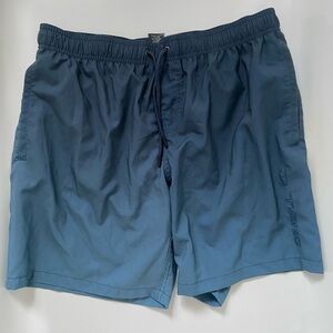 Oneill Graident Bathing Suit